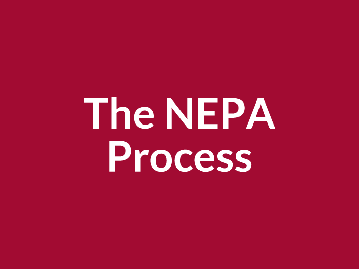 The NEPA Process